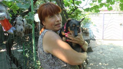 Притулок тварини собаки волонтери Добропілля Донецька область Притулок тварини собаки волонтери Добропілля Донецька область