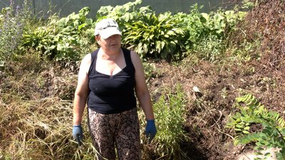 Пані Світлана на вулиці Декабристів Пані Світлана на вулиці Декабристів