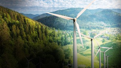У Микуличині на Франківщині планують збудувати вітрову електростанцію: як це вплине на довкілля і енергосистему