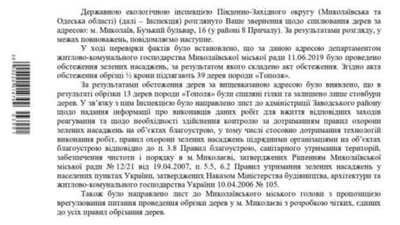 Обрізка дерев у Миколаєві: хто здійснює роботи та наскільки вони законні Обрізка дерев у Миколаєві: хто здійснює роботи та наскільки вони законні