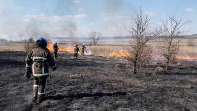 На Івано-Франківщині за добу рятувальники загасили 54 пожежі сухої трави