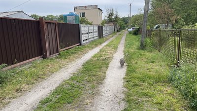 «Підсохне – скопаємо»: яка ситуація в населених пунктах Полтавщини через місяць після паводка «Підсохне – скопаємо»: яка ситуація в населених пунктах Полтавщини через місяць після паводка