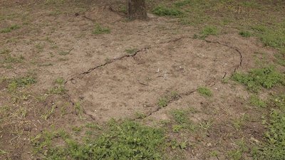 Жителька деокупованого села на Миколаївщині розповіла про загибель сина Жителька деокупованого села на Миколаївщині розповіла про загибель сина