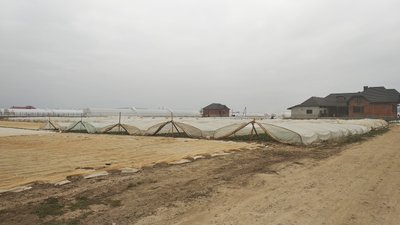 Дмитро Трухонь із Заріччя вирощує овочі в теплицях Дмитро Трухонь із Заріччя вирощує овочі в теплицях