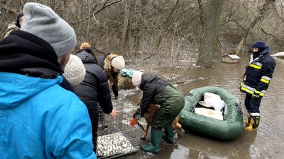 Евакуація триватиме, поки не вивезуть всіх тварин: у Кропивницькому продовжують рятувати собак і котів від підтоплення Евакуація триватиме, поки не вивезуть всіх тварин: у Кропивницькому продовжують рятувати собак і котів від підтоплення