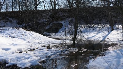 Танення снігу на Рівненщині, 1 березня 2026 року