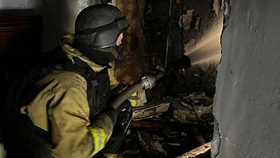 Пожежа у Чоробаївці, ДСНС