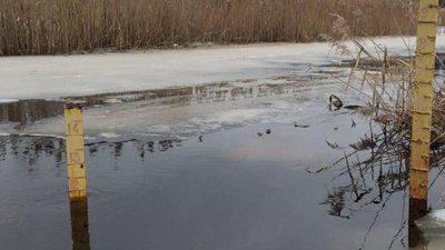 Річка у Чорнобильському заповіднику