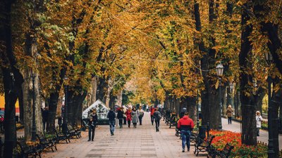 Внесення центру Одеси до спадщини ЮНЕСКО: які зміни чекатимуть на місто Внесення центру Одеси до спадщини ЮНЕСКО: які зміни чекатимуть на місто