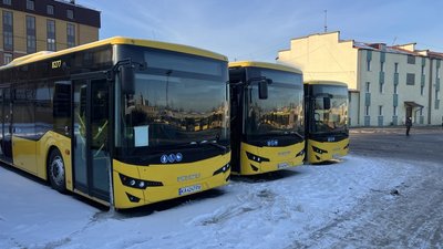 Автобуси