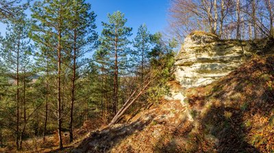 На Львівщині презентували сайт для мандрівок парками України