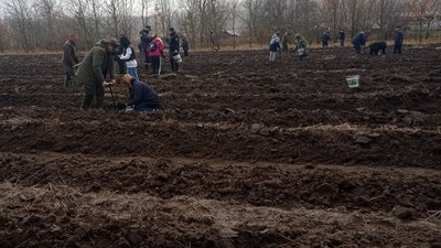 На Кіровоградщині долучилися до Всеукраїнської акції "Садимо ліси разом" На Кіровоградщині долучилися до Всеукраїнської акції "Садимо ліси разом"