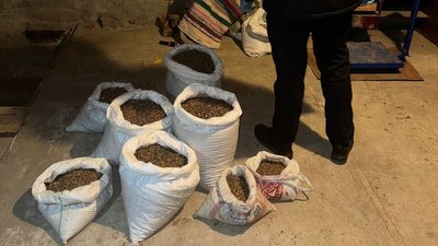 450 кілограмів бурштину на 1,3 мільйона гривень: на Рівненщині оголосили підозру трьом чоловікам 450 кілограмів бурштину на 1,3 мільйона гривень: на Рівненщині оголосили підозру трьом чоловікам