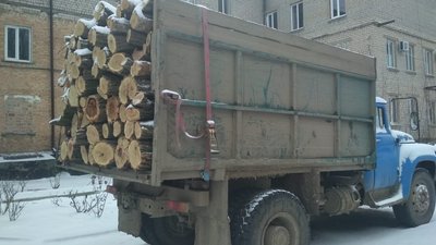 Перевозив деревину без документів: поліція Херсонщини зупинила вантажівку з 12 кубометрами акації
