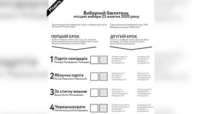 Вибори на Рівненщині: коли стартують та як розібратися з бюлетнем