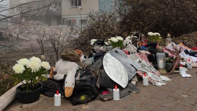 квіти, іграшки, стуса, тернопіль
