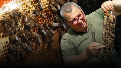 пасічник із Рівненщини розповів, як видобуває мед