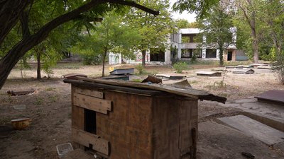 цуценята, евтаназія, Дніпро