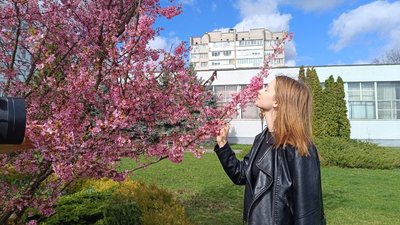 У Хмельницькому ботанічному саду заквітли магнолії та сакури: у чому особливість цьогорічного цвітіння У Хмельницькому ботанічному саду заквітли магнолії та сакури: у чому особливість цьогорічного цвітіння