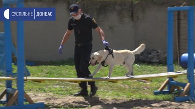 На Луганщині після карантину службові собаки повернулись до кінологічного центру