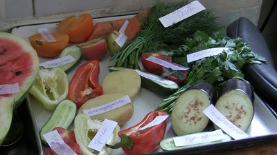 У Запоріжжі з міського ринку вилучили 120 партій баштанних культур з нітратами У Запоріжжі з міського ринку вилучили 120 партій баштанних культур з нітратами