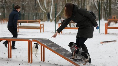 У Львові облаштували тренувальний майданчик для собак
