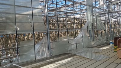 "Працювало понад 150 людей, зараз — до 20": як у Балаклії відновлюють ферму після окупації "Працювало понад 150 людей, зараз — до 20": як у Балаклії відновлюють ферму після окупації