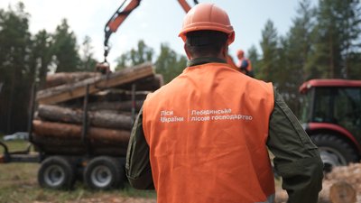 Які результати реформи в лісовій галузі на Сумщині