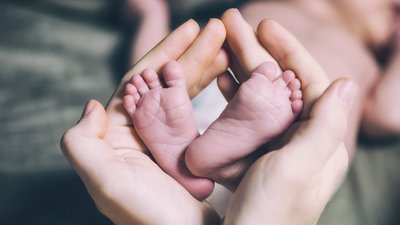 Пологи у Чернігові: у серпні народилися 165 дітей — 85 дівчаток та 86 хлопчиків