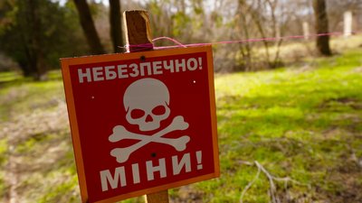 Херсон, мінування, міна, пелюстка