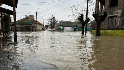 На Закарпатті підтоплені вулиці й підвали у будинках: як усувають наслідки негоди На Закарпатті підтоплені вулиці й підвали у будинках: як усувають наслідки негоди