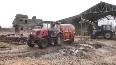 ТВАРИННИЦТВО В УМОВАХ ВІЙНИ ТВАРИННИЦТВО В УМОВАХ ВІЙНИ