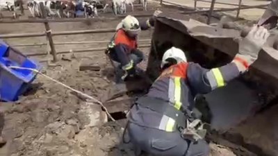 На Черкащини двоє чоловіків потрапили у семиметрову яму. Врятувати їх не вдалося На Черкащини двоє чоловіків потрапили у семиметрову яму. Врятувати їх не вдалося