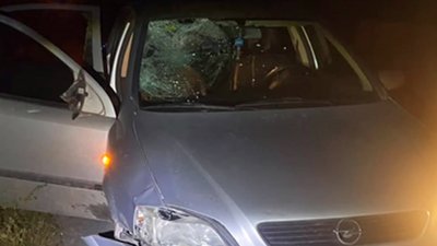 Водій автівки збив насмерть пішохода