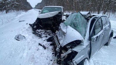 Житомир, ДТП, травмовані, Веселівка