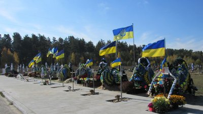 Алея Героїв у Малині: на якому етапі облаштування місця для встановлення пам'ятників полеглим захисникам