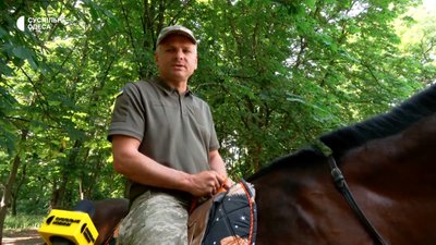 іпотерапія іпотерапія