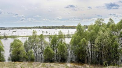 До критичного рівня заплави Десни залишається 50 см – дорогу на кордоні Сумської та Чернігівської областей залило водою До критичного рівня заплави Десни залишається 50 см – дорогу на кордоні Сумської та Чернігівської областей залило водою