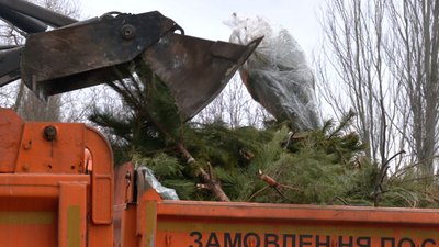 У Черкасах комунальники збирають і утилізують новорічні ялинки