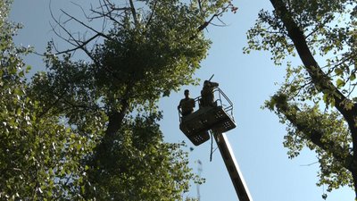 Косять траву, обрізають дерева та усувають наслідки обстрілів. Як комунальники Донеччини працюють у військових умовах Косять траву, обрізають дерева та усувають наслідки обстрілів. Як комунальники Донеччини працюють у військових умовах