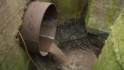 На Житомирщині зафіксували скид нечистот у річку Тетерів