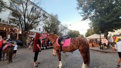 “Фото з мавпою”: чому та як продовжує існувати бізнес на тваринах “Фото з мавпою”: чому та як продовжує існувати бізнес на тваринах
