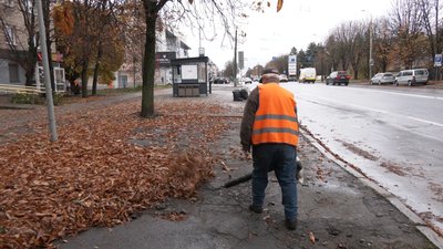 Куди комунальники та містяни дівають зібране опале листя у Луцьку Куди комунальники та містяни дівають зібране опале листя у Луцьку
