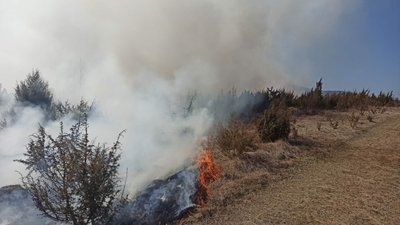 Протягом минулої доби на Львівщині зафіксували 31 пожежу сухостою Протягом минулої доби на Львівщині зафіксували 31 пожежу сухостою