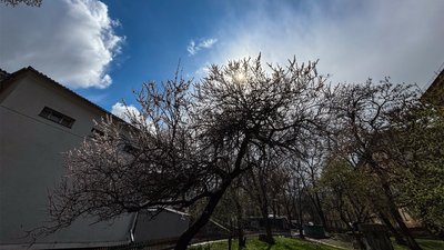 У Чернігові 22 вересня зафіксували температурний рекорд