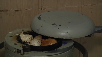 У Житомирі провели пів сотні перевірок на вміст радіації у грибах У Житомирі провели пів сотні перевірок на вміст радіації у грибах