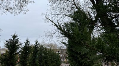 На Херсонщині 30 грудня буде хмарно з проясненнями