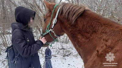 У Харкові патрульні повернули жінці коня, який втік з конюшні У Харкові патрульні повернули жінці коня, який втік з конюшні