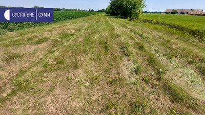 Щороку громади Сумщини недоотримують від використання їхніх земель до 800 млн грн Щороку громади Сумщини недоотримують від використання їхніх земель до 800 млн грн