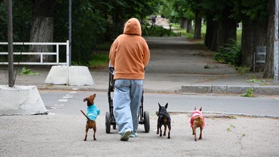 Вулиця Херсона, погода , рекорд
